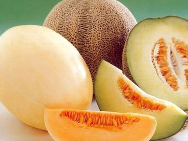 10 причин полюбить дыню