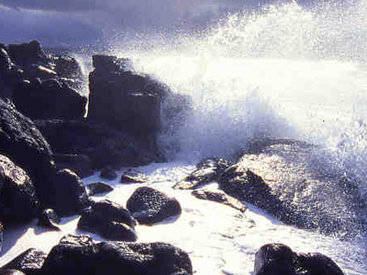 Что происходит в океане во время сильного землетрясения - ВИДЕО