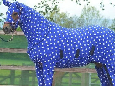 Глупо или мило: одежда для четвероногих друзей - ФОТО