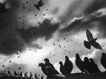 Гарольд Файнстайн – легенда стрит-фотографии - ФОТОСЕССИЯ
