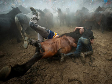 Главные снимки 2014 года по версии Agence France-Presse - ФОТОСЕССИЯ