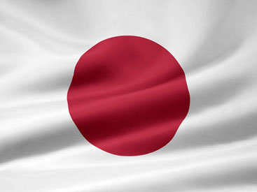 Лечение облученных японцев доверили иностранным врачам