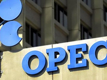 Президент ОПЕК отпущена под залог