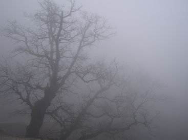 Названы причины неожиданного похолодания в Баку