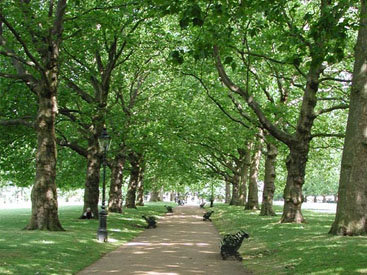 Несчастный случай в бакинском парке