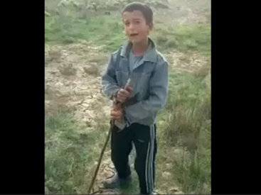 Маленький чобан поразил великолепным исполнением мугама - ВИДЕО