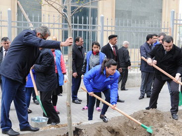 В Баку по инициативе вице-президента Фонда Гейдара Алиева Лейлы Алиевой состоялась озеленительная акция - ФОТО