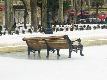 Загадочное происшествие в одном из парков Баку - ФОТО