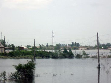 Уровень загрязненности Куры и Араза превышает норму