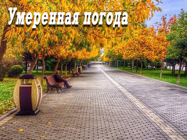 Погода порадует бакинцев