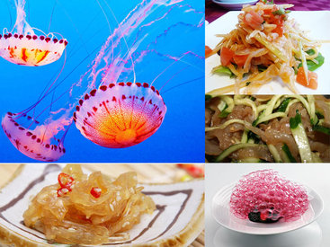 BMT-dən xəbərdarlıq: ət, balıq yox, meduza yeyin, yoxsa...