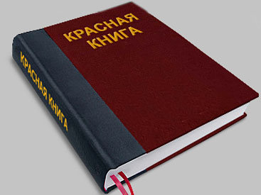 "Красная книга Азербайджана" будет переиздана