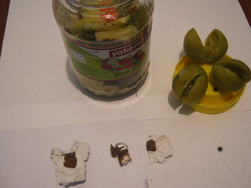 В Гобустанскую тюрьму пытались провести наркотики в помидорах - ФОТО