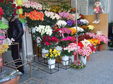 "Фотоклуб Day.Az": Как Баку готовился к 8 Марта - ФОТО
