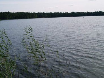 В Азербайджане в реке утонул 17-летний юноша