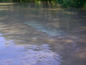Названа причина загрязнения воды Каспийского моря в районе Шувелана