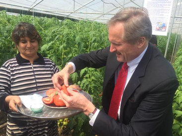 Посол США познакомился с фермерами Гянджи