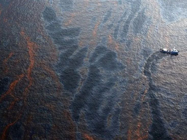 В Северное море вылилось 100 тонн нефти - ОБНОВЛЕНО