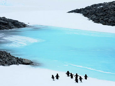 Ученые предупреждают о новых последствиях таяния ледников