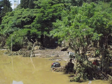 Мэр Тбилиси просит о помощи