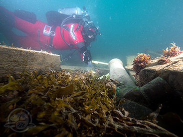 Британские моряки XIX века практиковали каннибализм