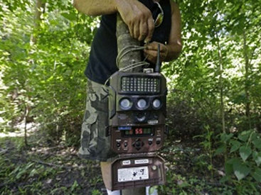 В Намибии обнаружен неизвестный вид млекопитающего