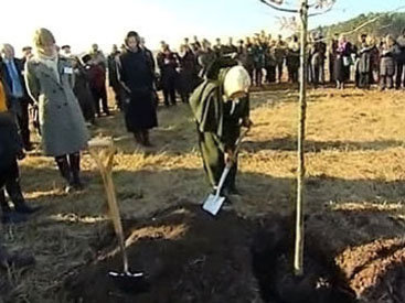 Елизавета II посадила дерево в честь 60-летия своего правления