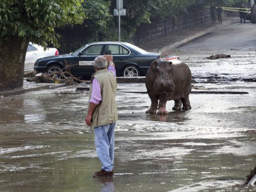 Названа возможная причина наводнения в Грузии
