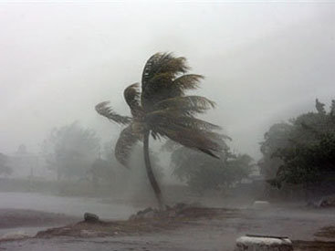 Ураган в ЮАР оставил сотни семей без крова