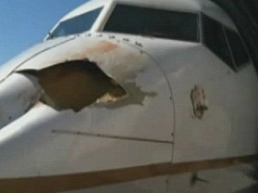 Птица протаранила массивный Boeing 737 – ФОТО