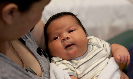 В Бразилии домашняя собака спасла новорожденного