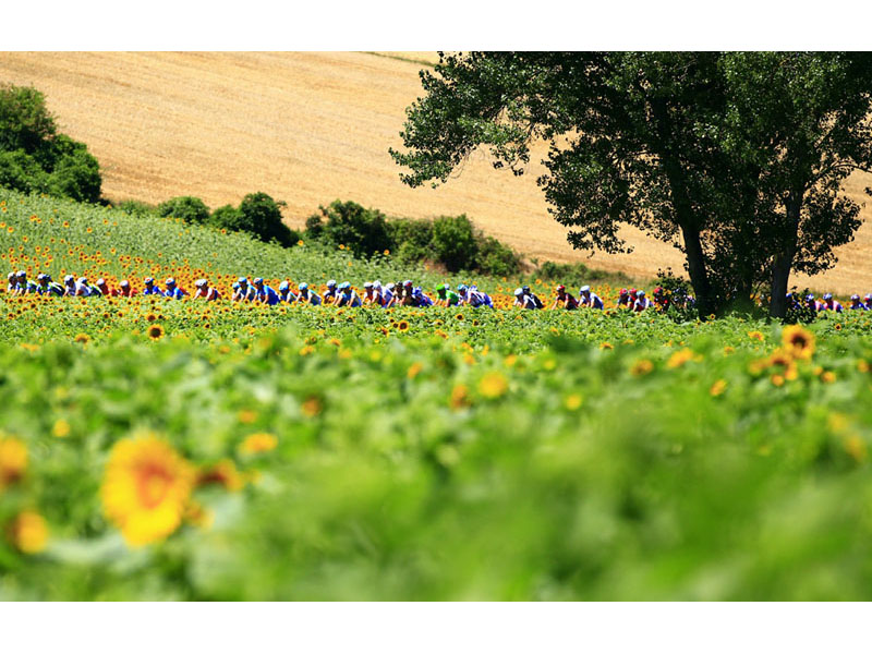 Гонки по дорогам ада: Tour De France 2010 - ФОТОСЕССИЯ - ЧАСТЬ 2