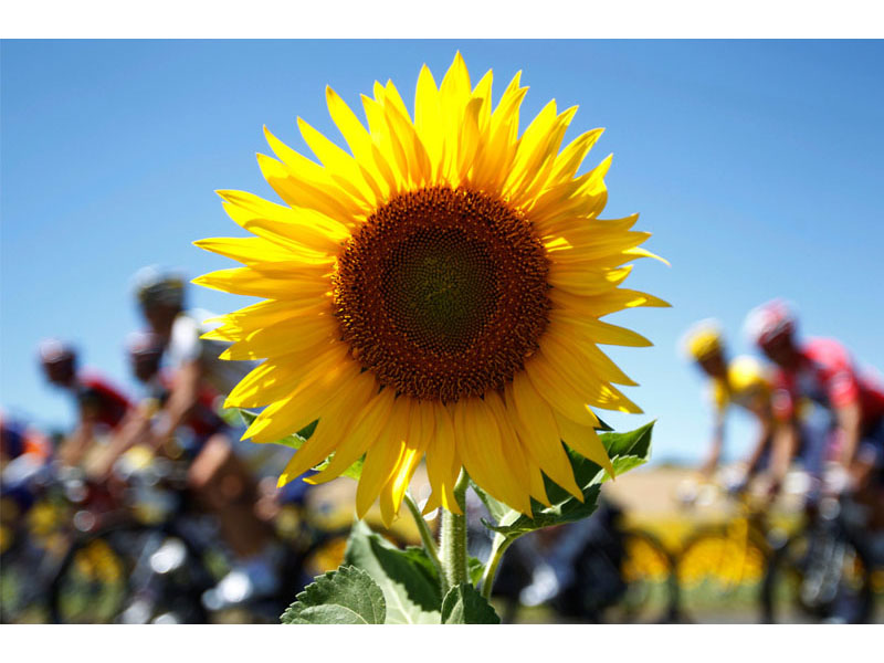Гонки по дорогам ада: Tour De France 2010 - ФОТОСЕССИЯ - ЧАСТЬ 2