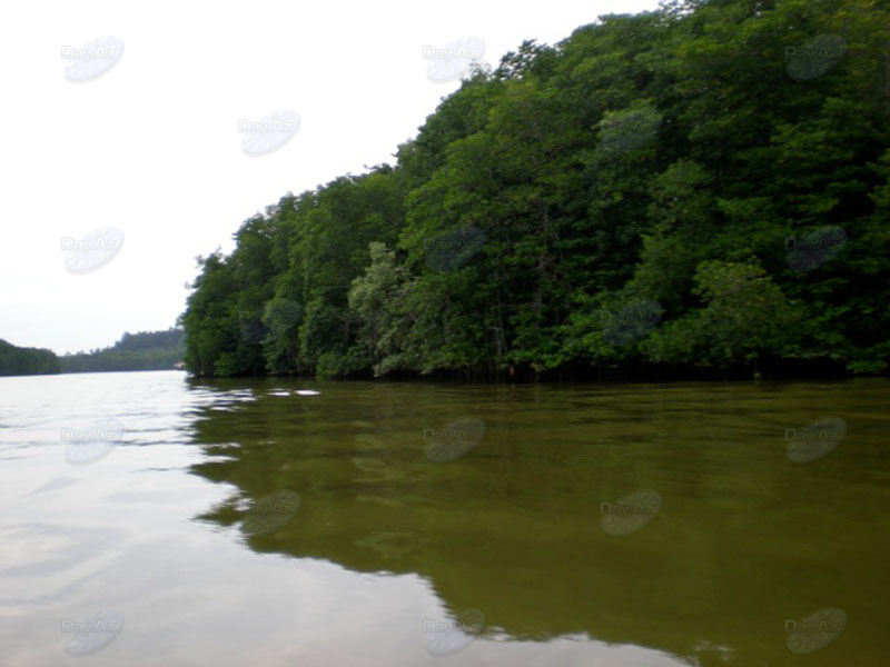 "Туристические записки": "Лодка по имени "Наташа": Бруней – жизнь на воде" - ФОТО