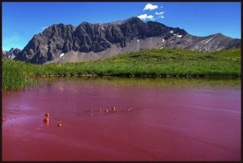 Чудеса природы: цветные озера мира - ФОТО