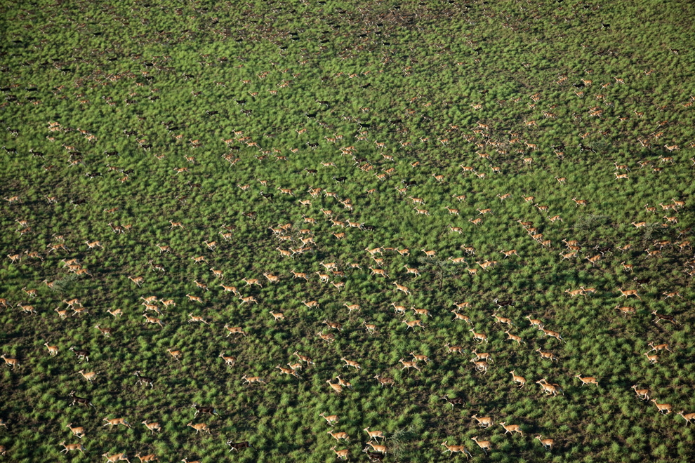 Двигайся как миллионы, выживай как один: новый фильм от National Geographic - ФОТОСЕССИЯ