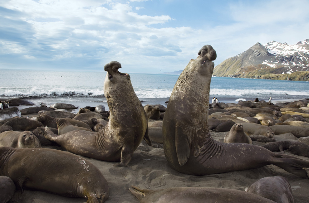 Двигайся как миллионы, выживай как один: новый фильм от National Geographic - ФОТОСЕССИЯ