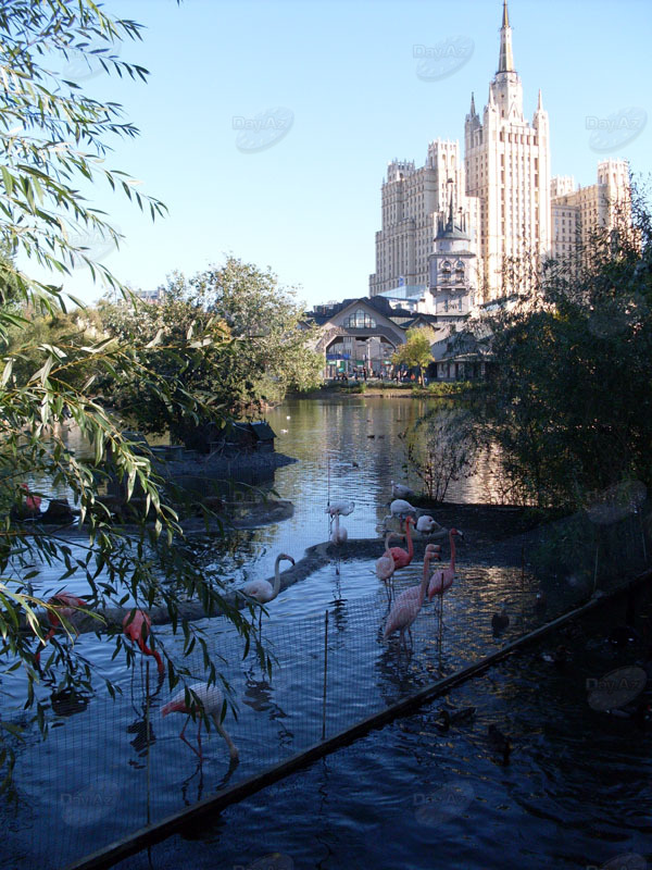 Островок дикой природы в порту пяти морей - ФОТОСЕССИЯ