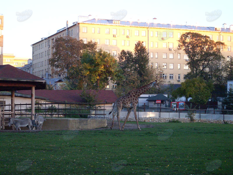 Островок дикой природы в порту пяти морей - ФОТОСЕССИЯ