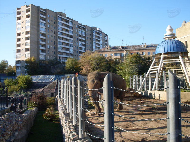 Островок дикой природы в порту пяти морей - ФОТОСЕССИЯ