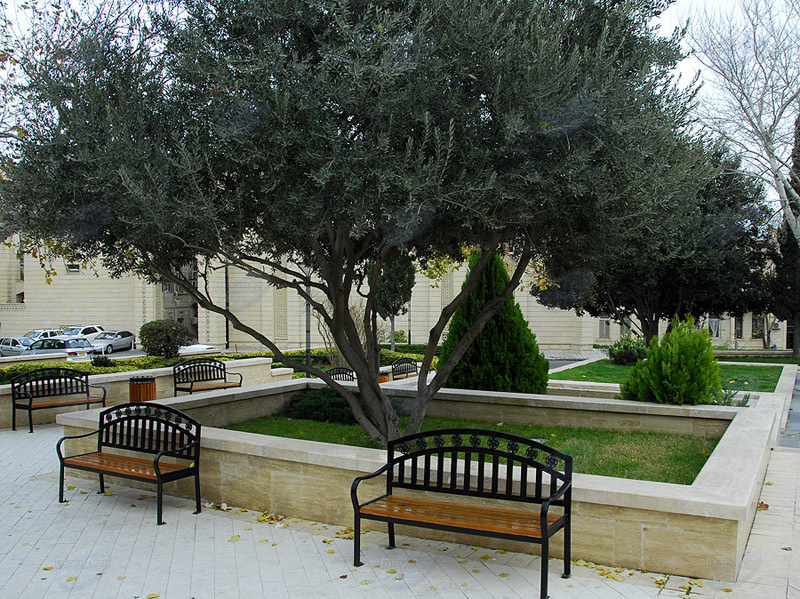 Самые красивые уголки бакинских парков - ФОТОСЕССИЯ