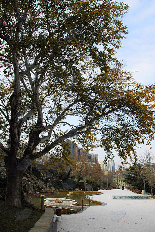 Самые красивые уголки бакинских парков - ФОТОСЕССИЯ