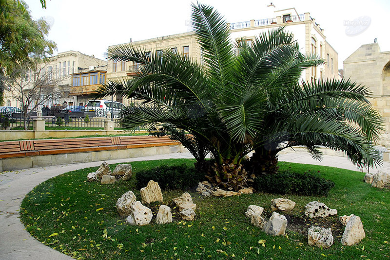 Самые красивые уголки бакинских парков - ФОТОСЕССИЯ