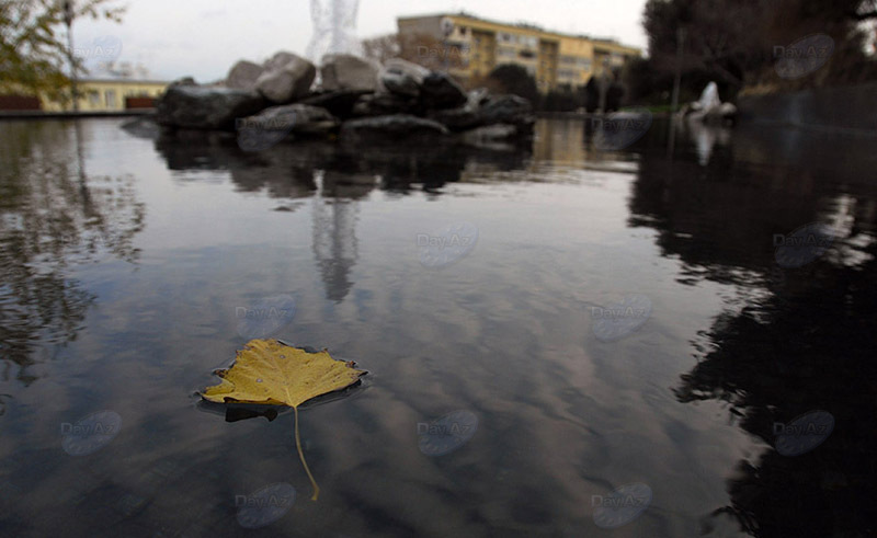 Самые красивые уголки бакинских парков - ФОТОСЕССИЯ