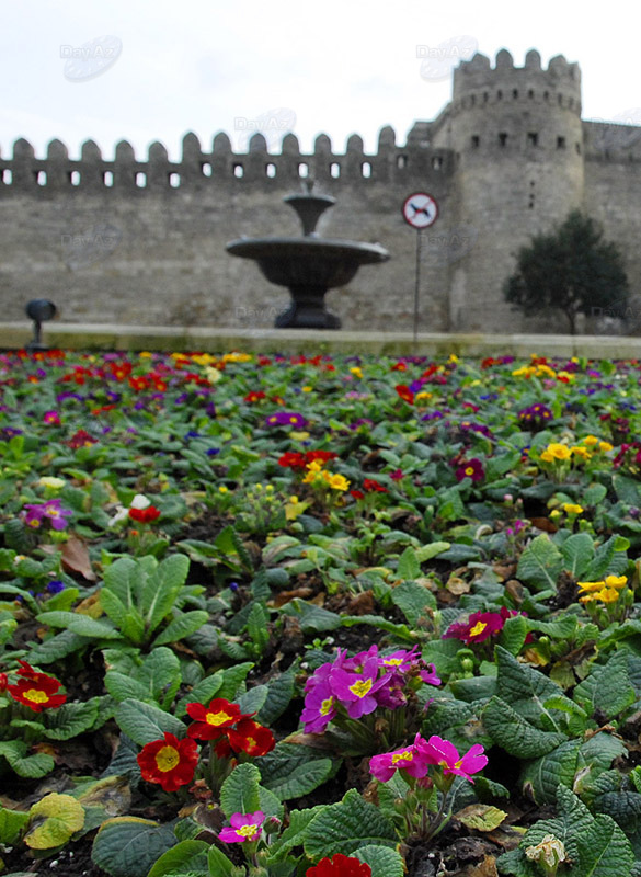 Самые красивые уголки бакинских парков - ФОТОСЕССИЯ