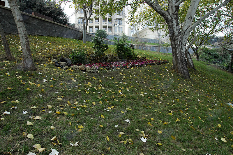 Самые красивые уголки бакинских парков - ФОТОСЕССИЯ