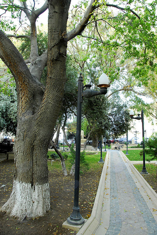 Самые красивые уголки бакинских парков - ФОТОСЕССИЯ