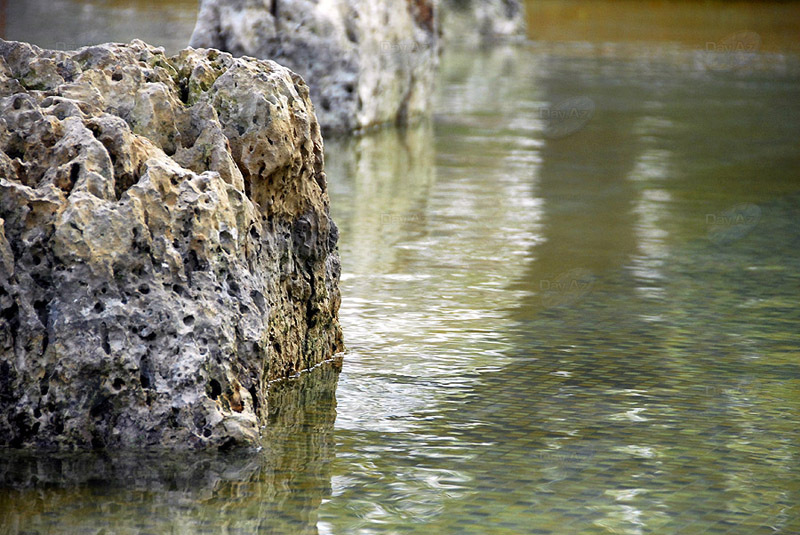Самые красивые уголки бакинских парков - ФОТОСЕССИЯ