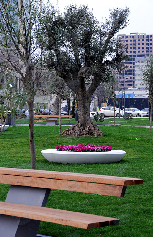 Самые красивые уголки бакинских парков - ФОТОСЕССИЯ