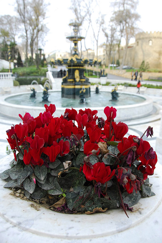 Самые красивые уголки бакинских парков - ФОТОСЕССИЯ